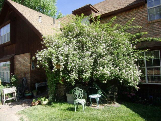 350 Applewood Road, Corrales, NM 87048