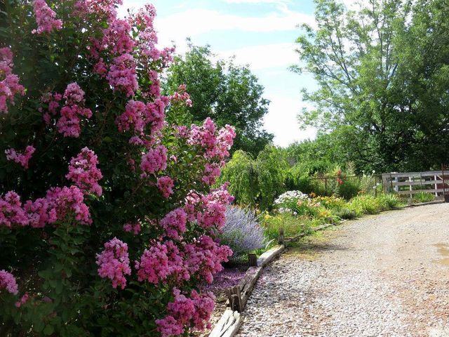 350 Applewood Road, Corrales, NM 87048