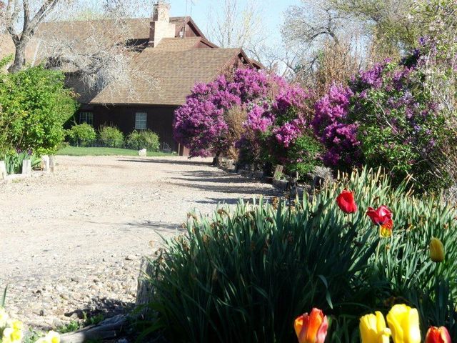 350 Applewood Road, Corrales, NM 87048