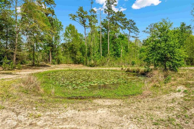 964 Green Moore Rd Road, Starks, LA 70661