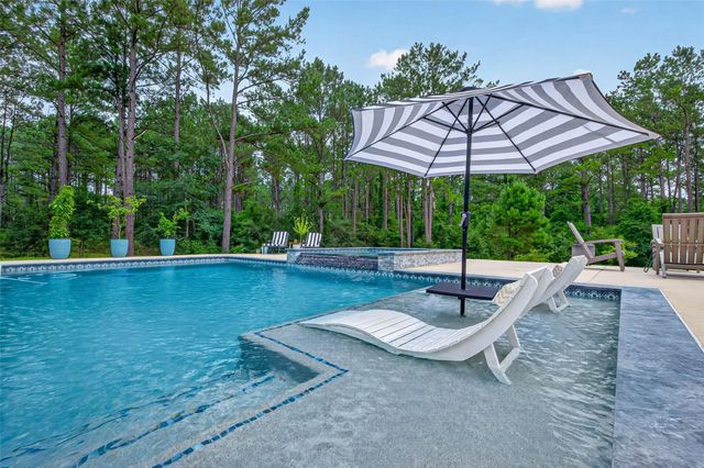 10915 Ruger Road, Willis, TX 77378