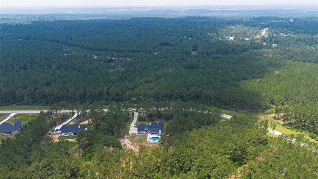 10915 Ruger Road, Willis, TX 77378