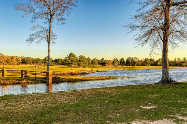 10915 Ruger Road, Willis, TX 77378