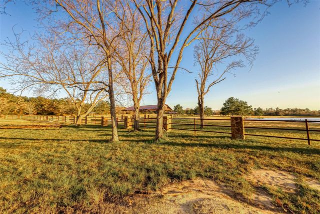 10915 Ruger Road, Willis, TX 77378