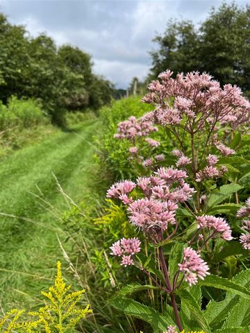 5233 124th Avenue, Fennville, MI 49408