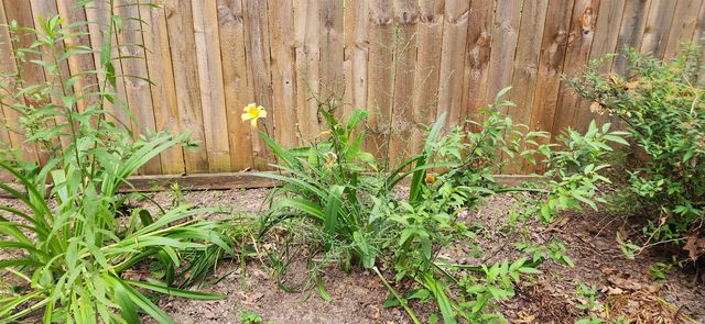 500 E Bobbies Circle, Star City, AR 71667