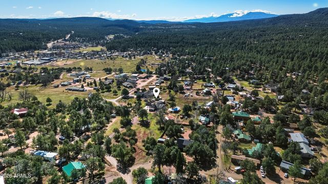 6475 W PINE CONE Trail, Pine, AZ 85544