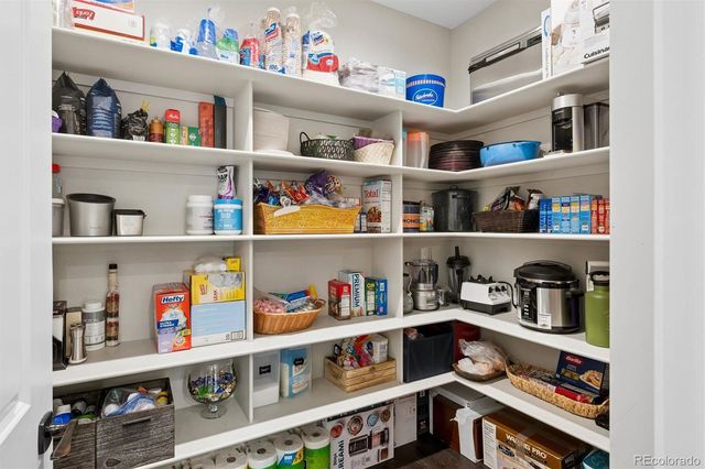 7879 Carolyn Drive, Castle Rock, CO 80108