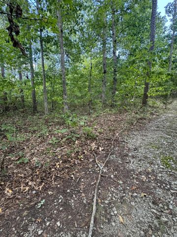 0 Mountain Lake Circle, Pikeville, TN 37367