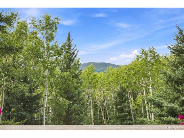 160 Meadowlark Dr, Evergreen, CO 80439