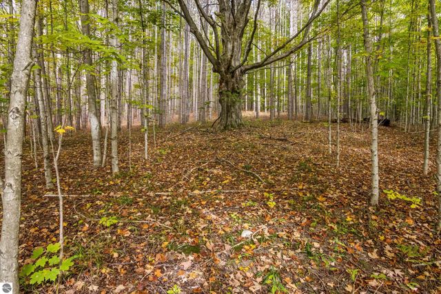 2488 W Trumbull Road, Maple City, MI 49664