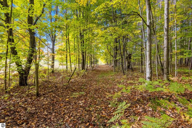 2488 W Trumbull Road, Maple City, MI 49664