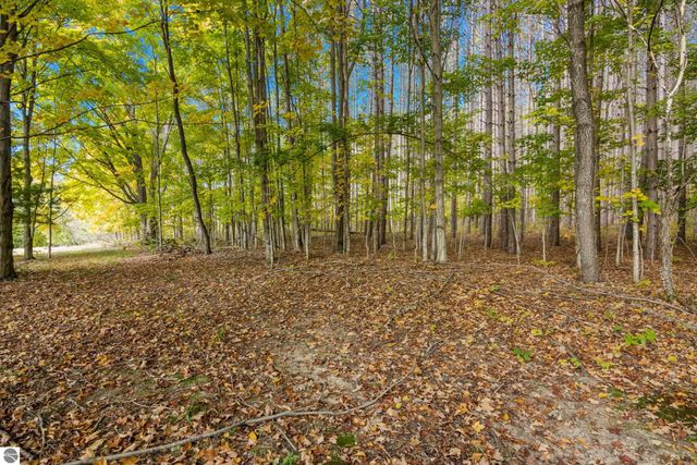 2488 W Trumbull Road, Maple City, MI 49664