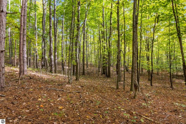 2488 W Trumbull Road, Maple City, MI 49664