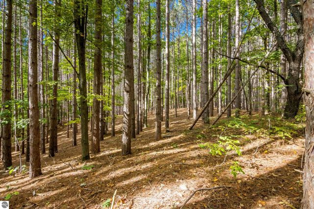 2488 W Trumbull Road, Maple City, MI 49664