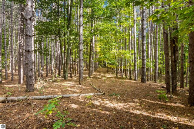 2488 W Trumbull Road, Maple City, MI 49664