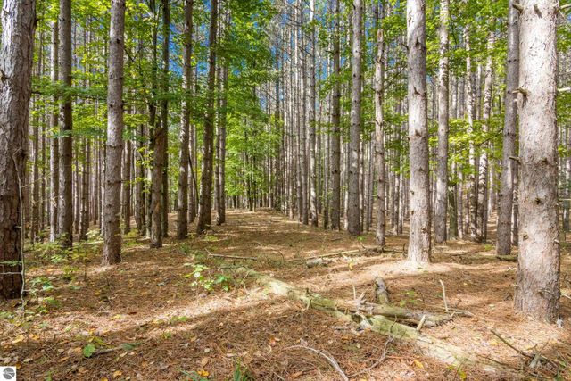 2488 W Trumbull Road, Maple City, MI 49664