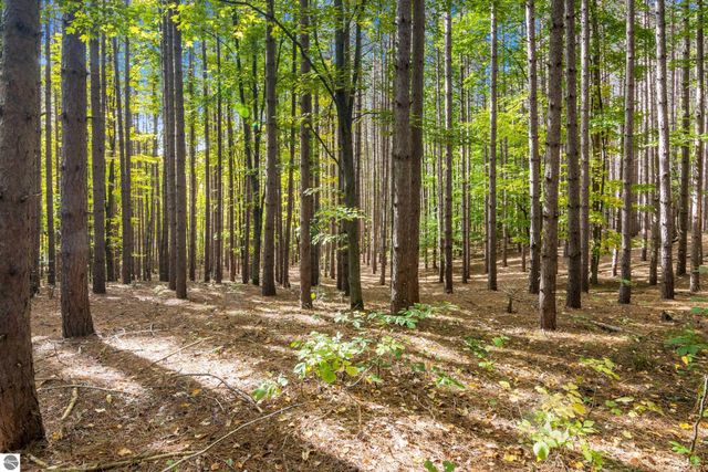 2488 W Trumbull Road, Maple City, MI 49664