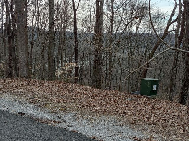 0 Swiper Dr, Smithville, TN 37166