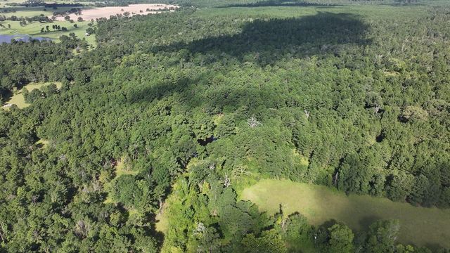 TBD Walker Ln Lane, Huntsville, TX 77320