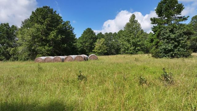 TBD Walker Ln Lane, Huntsville, TX 77320