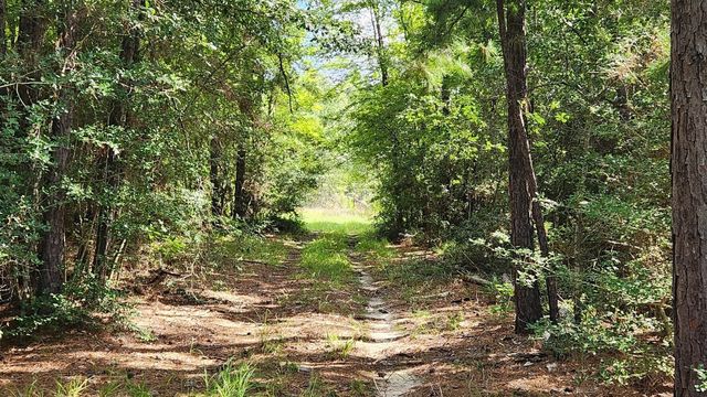 TBD Walker Ln Lane, Huntsville, TX 77320