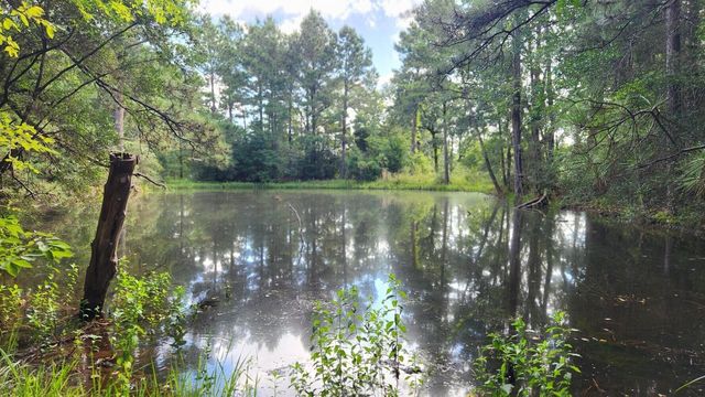 TBD Walker Ln Lane, Huntsville, TX 77320