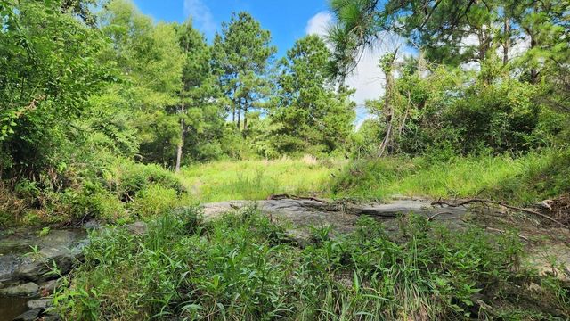 TBD Walker Ln Lane, Huntsville, TX 77320