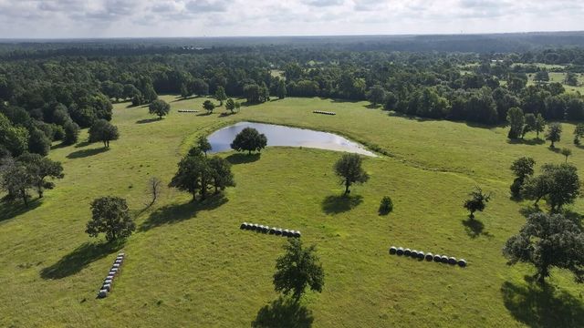 TBD Walker Ln Lane, Huntsville, TX 77320