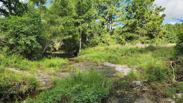 TBD Walker Ln Lane, Huntsville, TX 77320