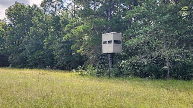 TBD Walker Ln Lane, Huntsville, TX 77320