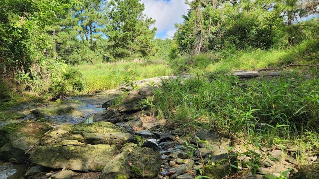 TBD Walker Ln Lane, Huntsville, TX 77320