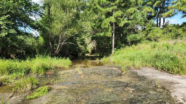 TBD Walker Ln Lane, Huntsville, TX 77320