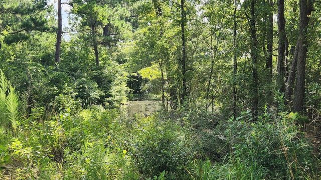 TBD Walker Ln Lane, Huntsville, TX 77320