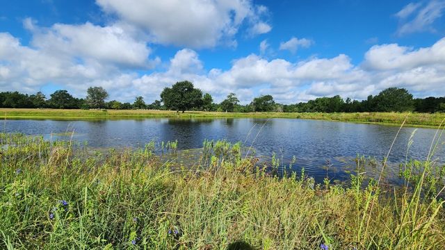 TBD Walker Ln Lane, Huntsville, TX 77320