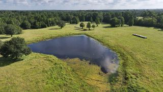 TBD Walker Ln Lane, Huntsville, TX 77320