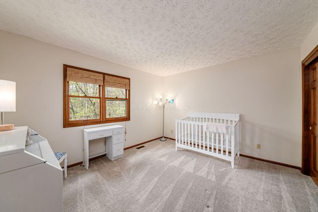 8867 Belisle Court, Dublin, OH 43017