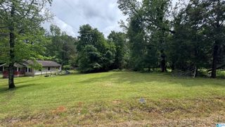 7317 LOWETOWN ROAD, Mccalla, AL 35111