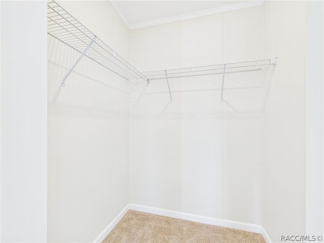 8252 N Elmtree Avenue, Crystal River, FL 34428