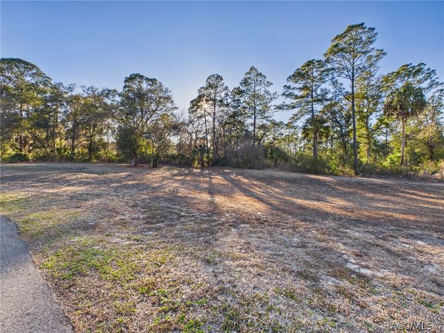 8252 N Elmtree Avenue, Crystal River, FL 34428