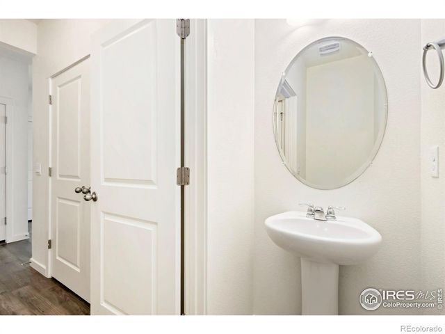 3713 Catmint Street, Wellington, CO 80549