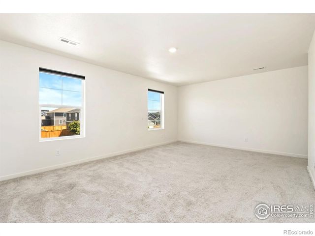 3713 Catmint Street, Wellington, CO 80549