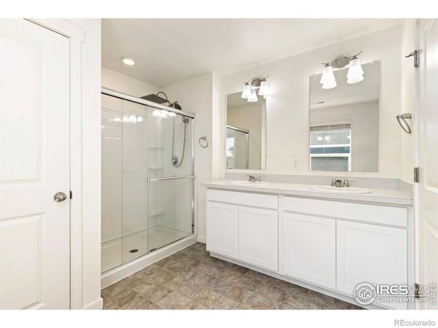 3713 Catmint Street, Wellington, CO 80549