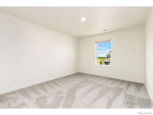 3713 Catmint Street, Wellington, CO 80549