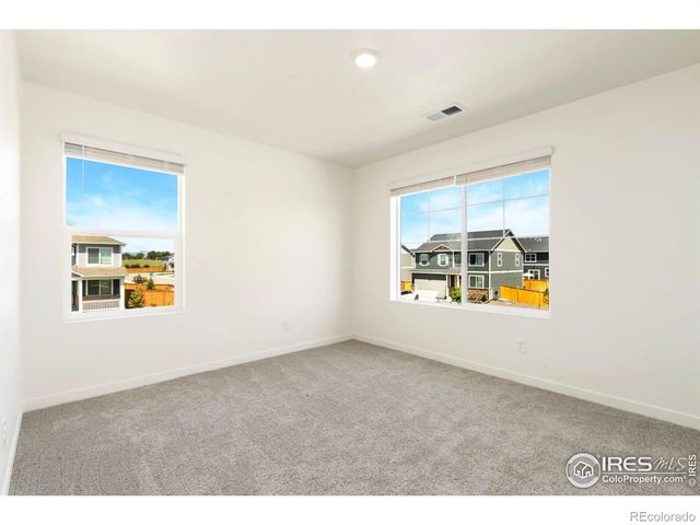 3713 Catmint Street, Wellington, CO 80549