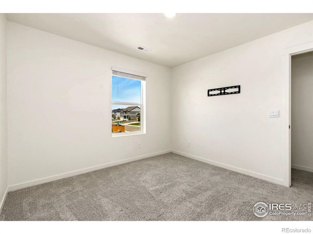 3713 Catmint Street, Wellington, CO 80549