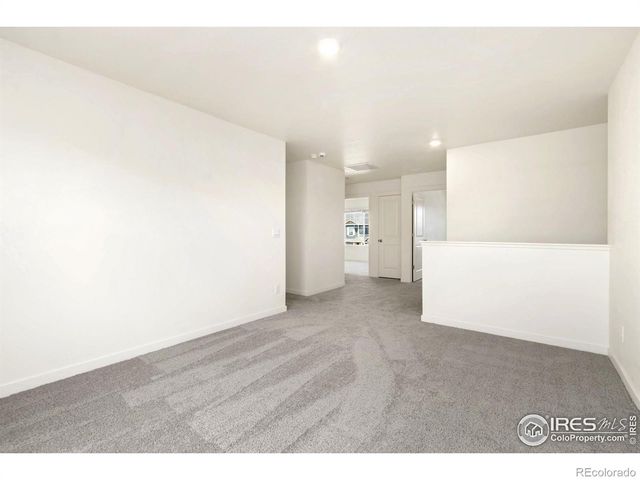 3713 Catmint Street, Wellington, CO 80549