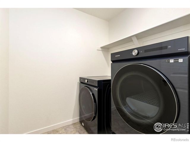 3713 Catmint Street, Wellington, CO 80549