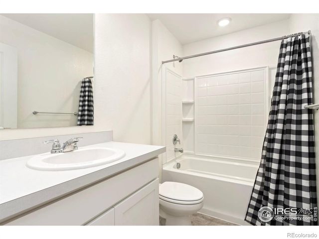 3713 Catmint Street, Wellington, CO 80549