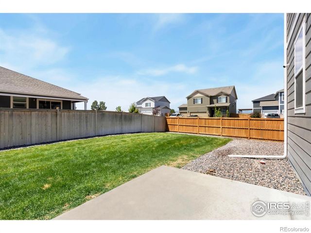 3713 Catmint Street, Wellington, CO 80549